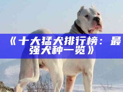 《十大猛犬：你不知道的犬种特性与养护技巧》