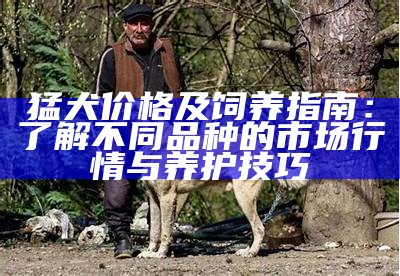 猛犬价格及饲养指南：了解不同品种的市场行情与养护技巧