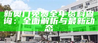 新奥门免费全年资料查询：全面解析与最新动态