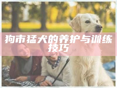 狗市猛犬的养护与训练技巧